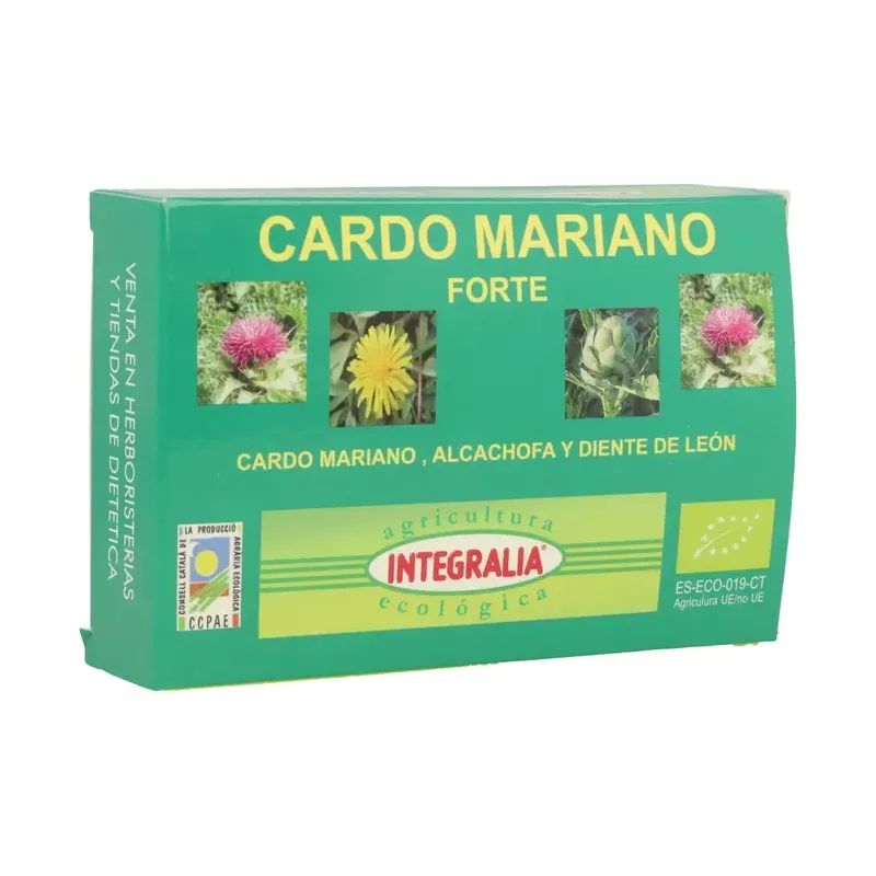 CARDO MARIANO FORTE ECO 60 CAP