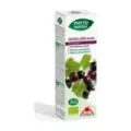 PHYTO GROSELLERO NEGRO 50ML