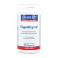 DIGESTIZYME 100CAP.