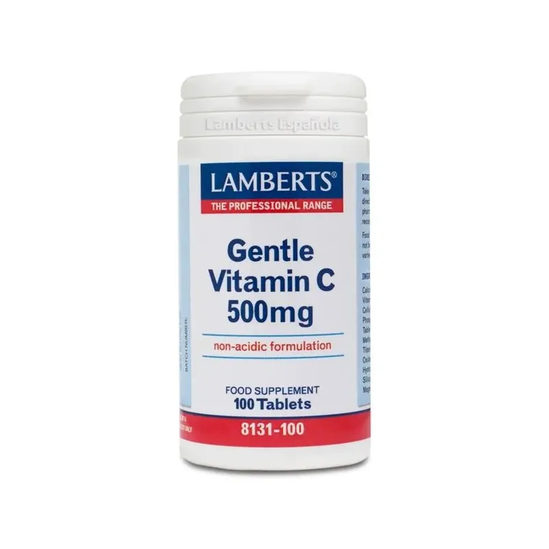 GENTLE VIT. C-500 100T