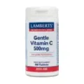 GENTLE VIT. C-500 100T