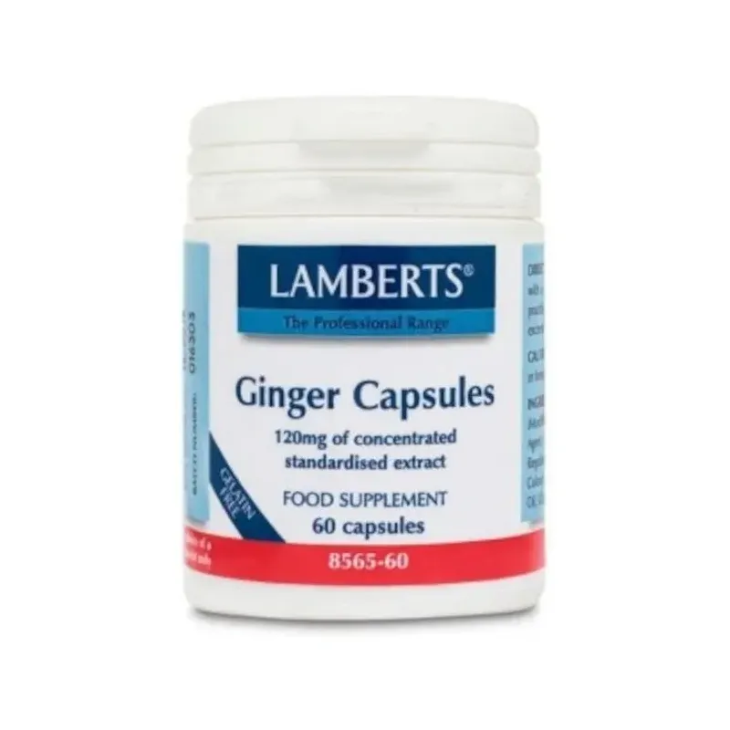 GINGER 60TAB