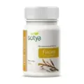 FUCUS  100 COMP .PL 11