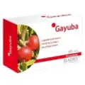 GAYUBA E.F.