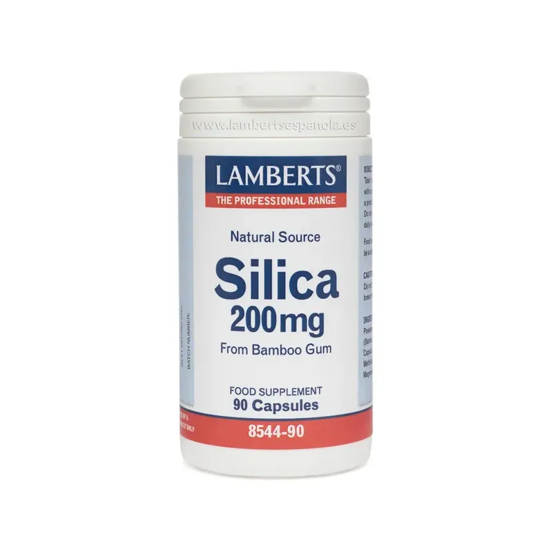 SILICIO 200MG 90CAP