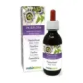 PASSIFLORA E.F.