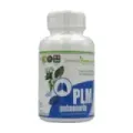 PULMONARIA