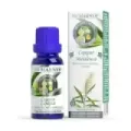 ACEITE ESENCIAL ALIMENTARIO CAJEPUT Estuche con botella - 15 ML