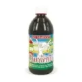 CURACTIVE BIO Sirope Arce y Palma Bio con Trazamin Botella PET - 500 ML
