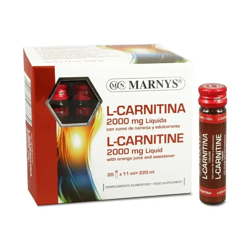 L-CARNITINA 20VIAL