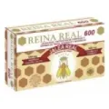 REINA REAL   600 20UNID