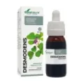EXTRACTO DE DESMODIUM ADSCENDENS S.