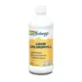 CHLOROPHYLL LÍQUIDA 480 ML