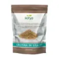 LECITINA  400 GR EN BOLSA