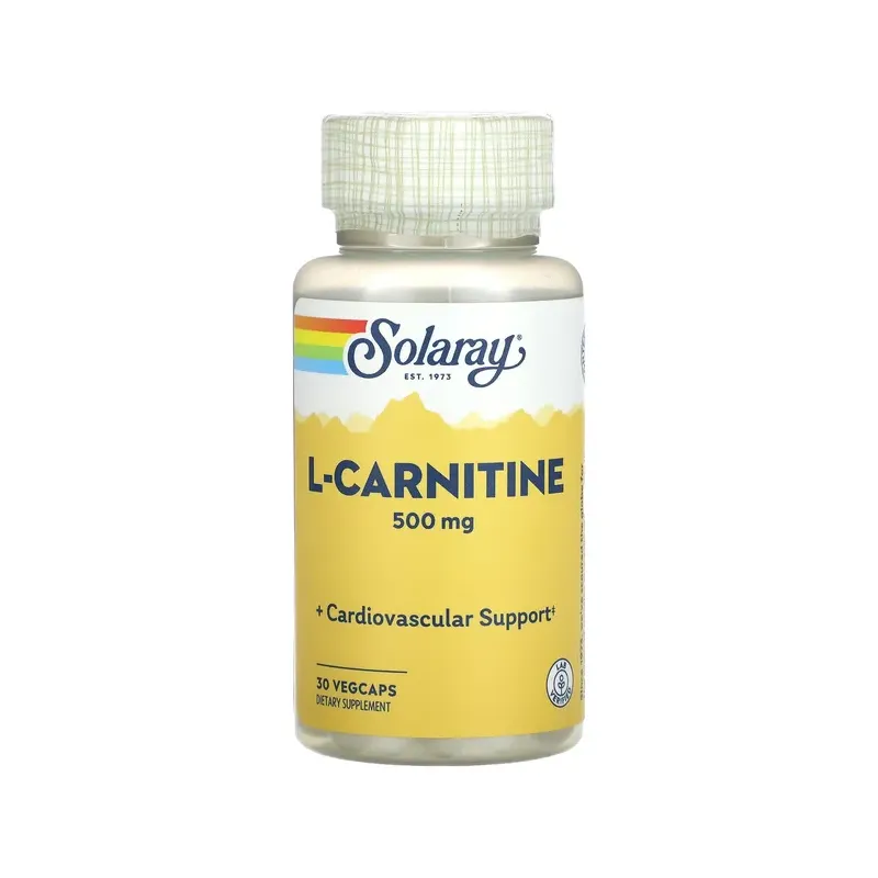 L-CARNITINE 500 MG - 30 VEGCAPS