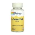 L-CARNITINE 500 MG - 30 VEGCAPS