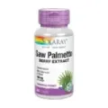 SAW  PALMETTO - 60 PERLAS