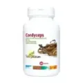 CORDYCEPS 500 MG 60 cápsulas
