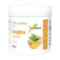 FERMENT ACTIV JENGIBRE 150 GR