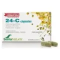 24-C MALVASEN