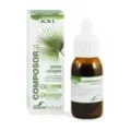 COMPOSOR 10 PROSOR COMPLEX S. XXI