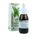 COMPOSOR 13 OXIUR COMPLEX S .XXI