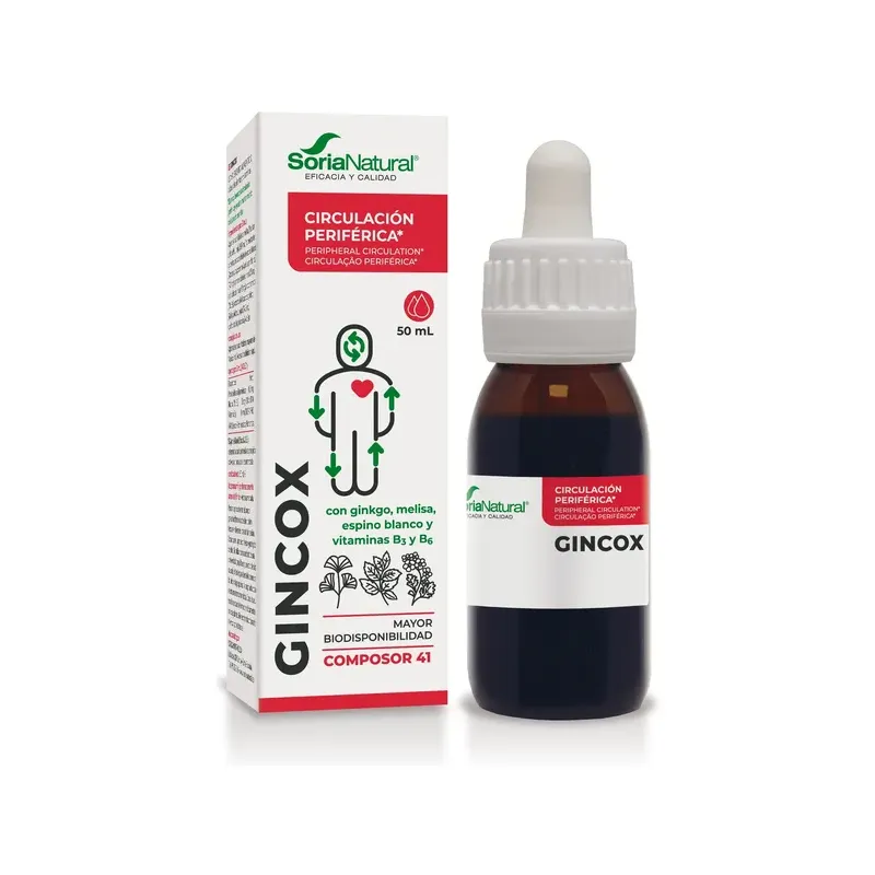 COMPOSOR 41 - GINCOX S. XXI
