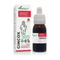 COMPOSOR 41 - GINCOX S. XXI