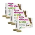 COMPOSOR 6 VITOL PLUS COMPLEX S. XX S. XXI