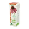 COMPOSOR 8 - ECHINA COMPLEX S. XXI