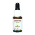 VITAMINA B12 LÍQUIDA 15 ML