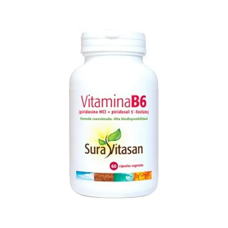 VITAMINA B6   60 CÁPSULAS
