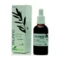 EXTRACTO DE OLIVO 50 ML S. XXI