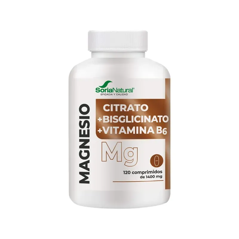 MAGNESIO+VIT. B6 250MG X120