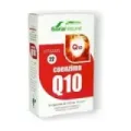 VIT & MIN 22 COENZIMA Q10 MGDOSE