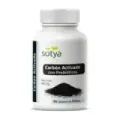CARBON ACTIVADO CON PROBIOTICO 90 C (550 grs.)