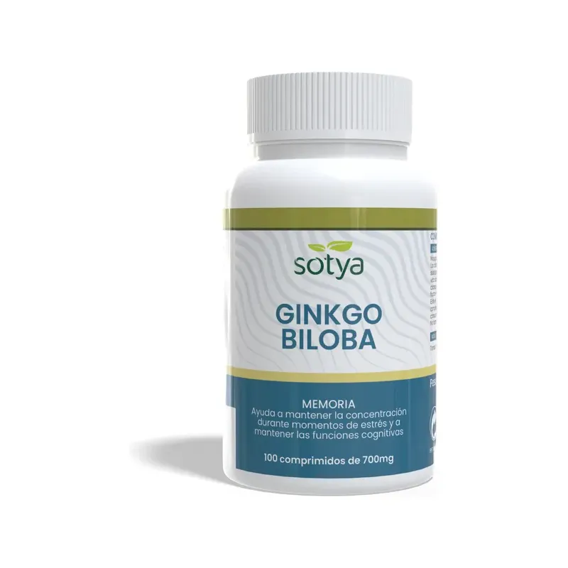 GINKGO BILOBA  100 COMP
