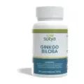 GINKGO BILOBA  100 COMP