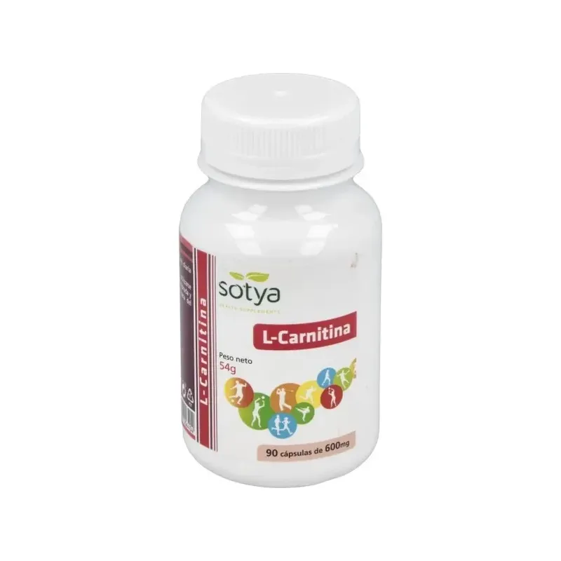L CARNITINA 600 MG 90 CAPS
