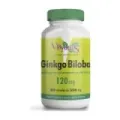 GINKGO BILOBA 120 MG. 60 CAPS.