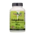 GINKGO BILOBA 60 MG. 120 CAPS.