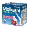 MOLKESOL FRESA ENZIMATICO CON ESTEV