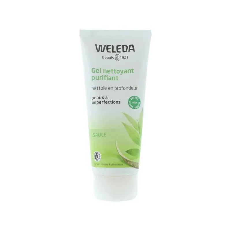 GEL LIMPIADOR PURIFICANTE 100 ML