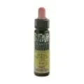 AVENA SIL-36 ELIXIR FLORAL ECO PLAN