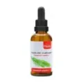 COLA DE CABALLO PLANTA BOLSA 40 G