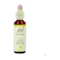 FLOR DE BACH 37 ROSA SILV.