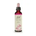 FLOR DE BACH 38 SAUCE