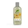 CHAMPÚ PARA CUERO CABELLUDO SENSIBL de Calendula 265 ml