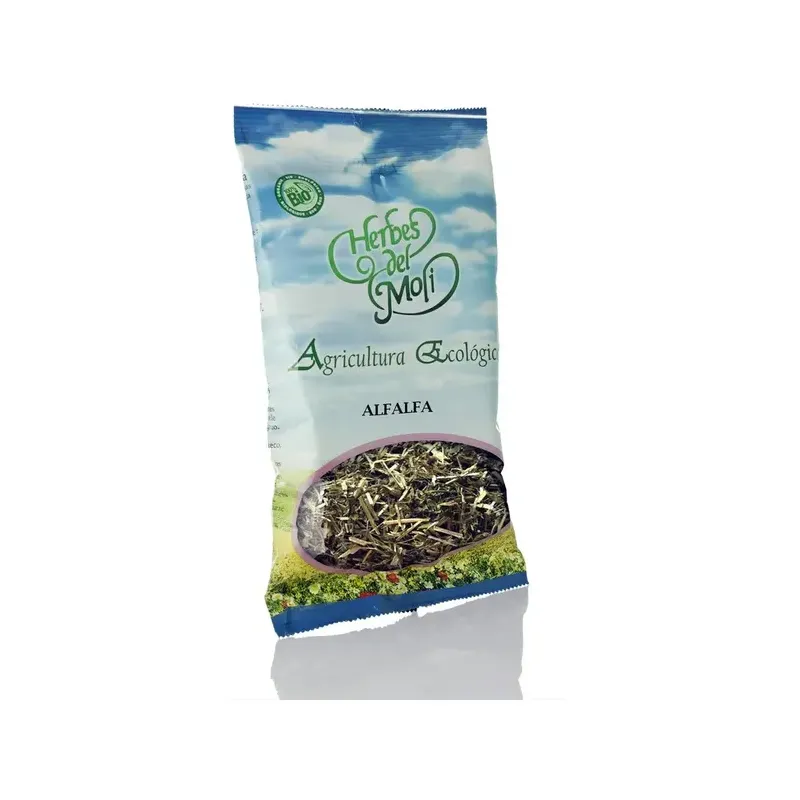 ALFALFA, PLANTA 45 grs.
