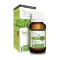 ARBOL DE TE 15 ML
